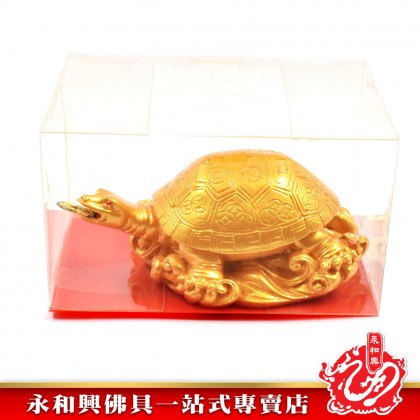 金錢龜- Lucky Golden Turtle 金錢龜- Lucky Golden Turtle