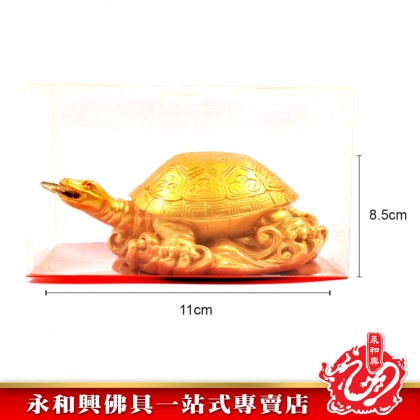 金錢龜- Lucky Golden Turtle