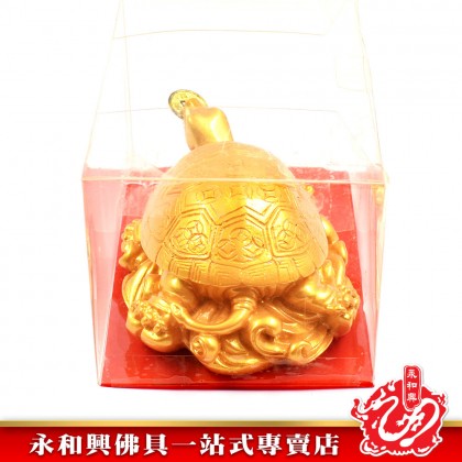 金錢龜- Lucky Golden Turtle
